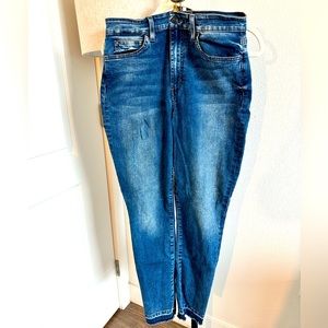 Joes jeans high rise skinny size 30